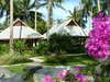 Koh Samui Resort 